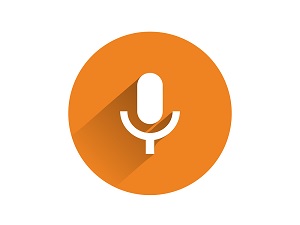 Google Security Device Had A Microphone