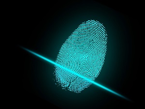 Survey Identity Theft Is Common For Americans