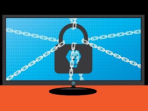 TFlower Hacks Into Company Networks