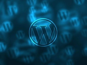 WordPress Loginizer Plugin Updated
