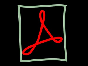 End For Adobe Flash Player