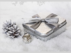 Fake Gift Card Balance Checking