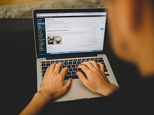 WordPress NinjaForms Plugin