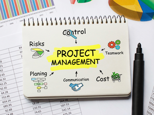 Project Management Software Can Help Business