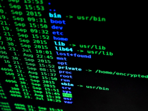 Strengthening Cybersecurity Defenses